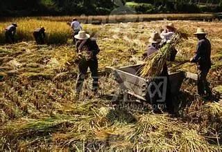 农村创业的好项目养殖业,农村创业的好项目养殖业概述