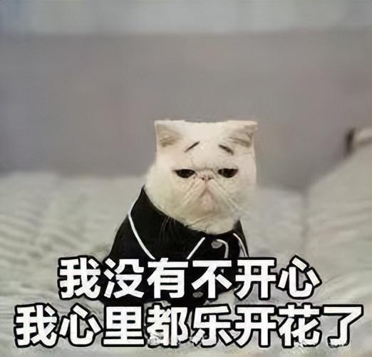 向往的生活游戏大全解谜,向往的生活游戏大全解谜游戏