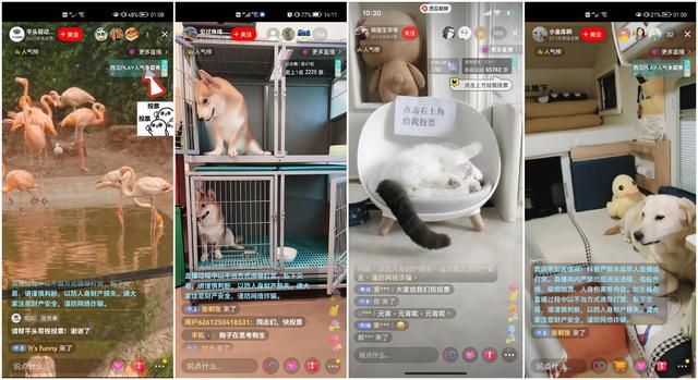 看片用什么直播，看片用什么直播软件好