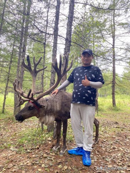 自驾游自媒体是如何赚钱的呢,自驾游自媒体是如何赚钱的呢知乎