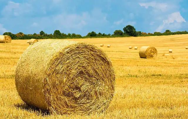 和尚招聘条件待遇,和尚的招聘条件