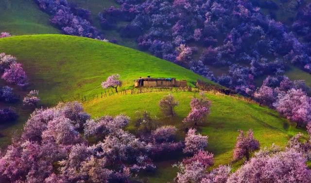 最有谋略的星座女排行,最有谋略的星座女排行榜