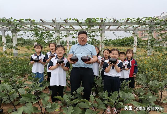 微课程设计方案及相匹配的微课视频,微课程设计方案及相匹配的微课视频语文