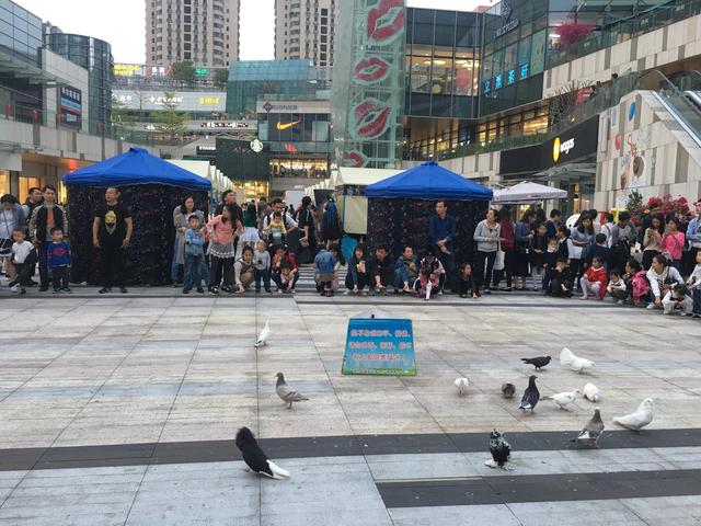 降龙十八掌招式口诀视频,降龙十八掌招式口诀视频教学