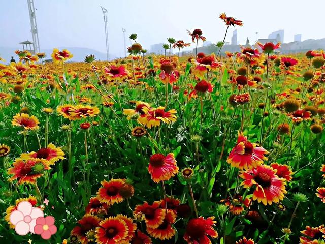 宝妈努力挣钱的句子霸气简短的,宝妈努力挣钱的句子霸气简短的说说