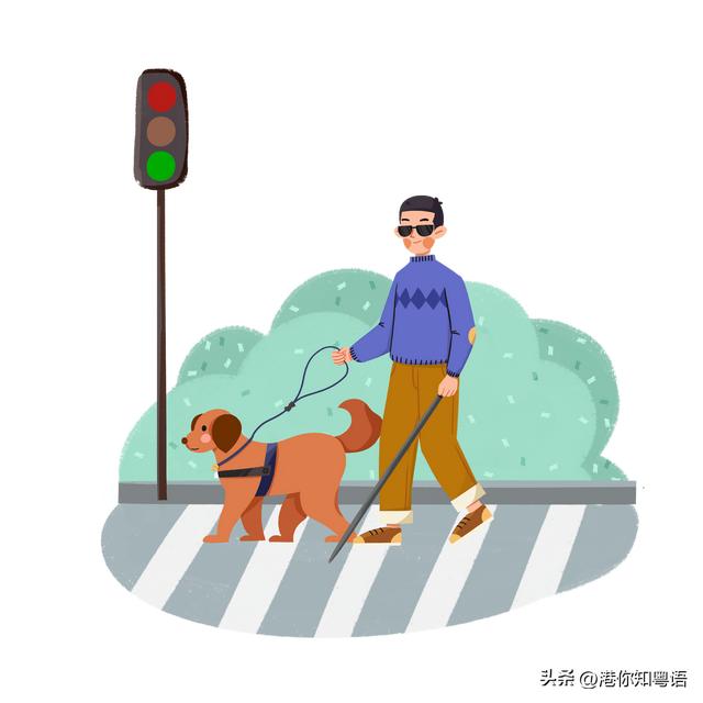 香港资料大全正版资料2022年,正版免费资料香港2019年资料大全