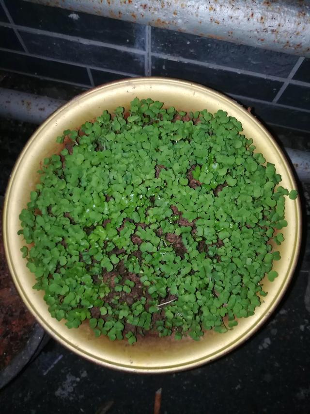 南宁哪里可以学自媒体运营培训,南宁哪里可以学自媒体运营专业