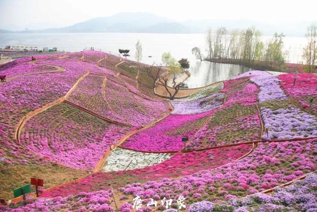 唐山gdp排名2021，唐山gdp排名2021全国