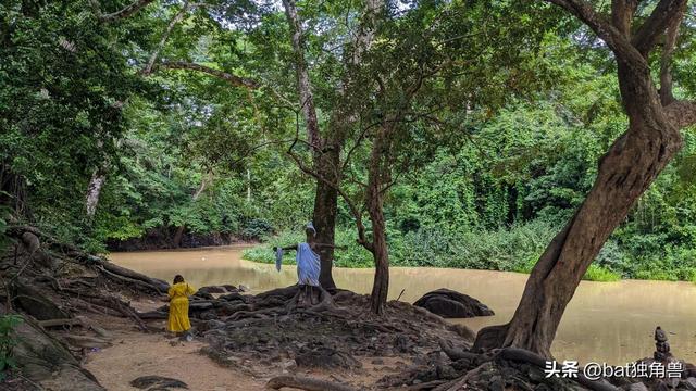 rol是什么意思英语,roll是什么意思英语