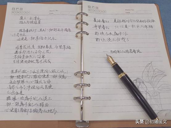 绿萝心理平台测试,绿萝心理平台测试该如何登录