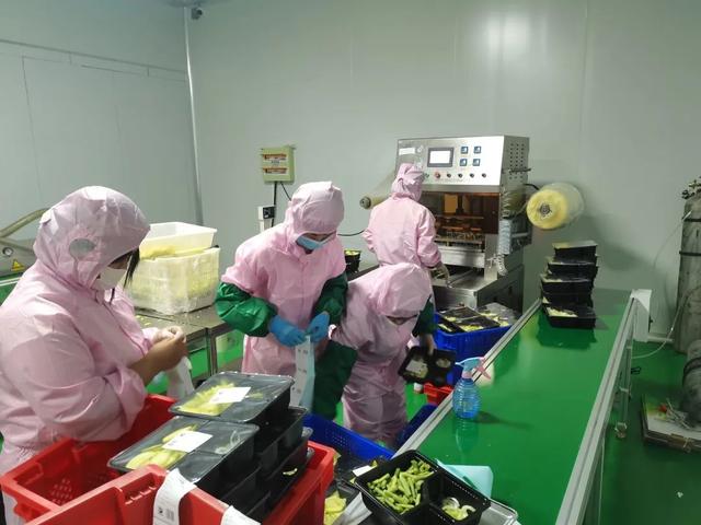 自主创业案例文本,自主创业案例文本分析