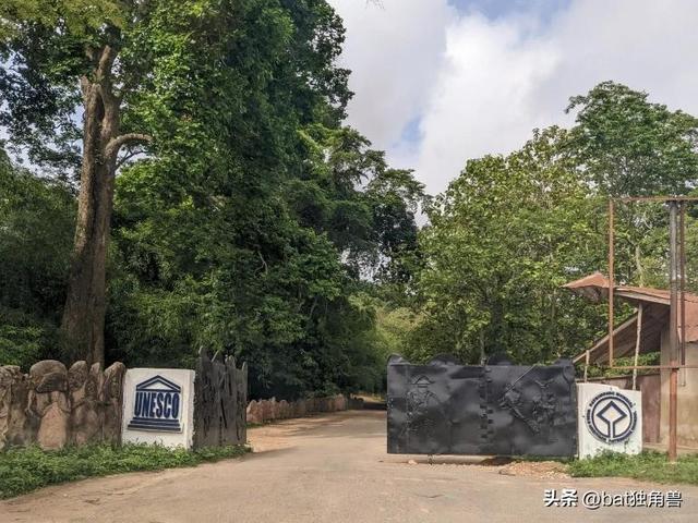 rol是什么意思英语,roll是什么意思英语