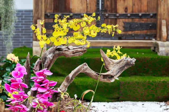 老人院一般多少钱一个月福清,老人院一般多少钱一个月电费