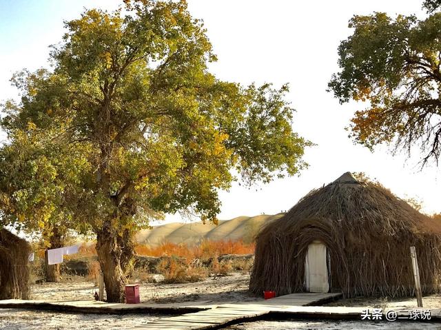 河南最经典的方言，河南_经典_方言