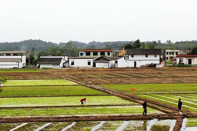 国家推行火葬的隐因有哪些，国家推行火葬的隐因有哪些方面