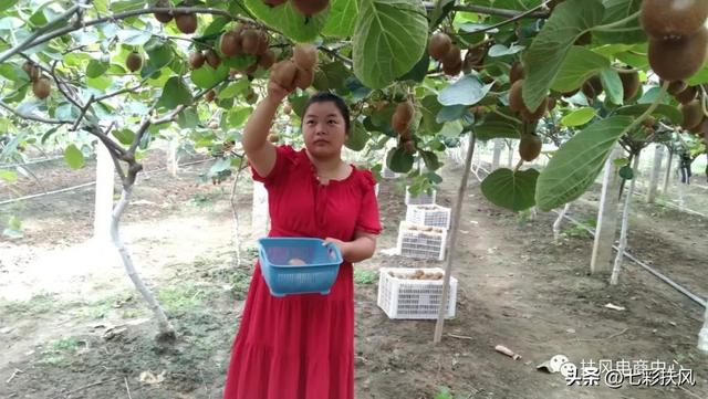 适合宝妈做小生意的工作,适合宝妈做小生意的工作有哪些