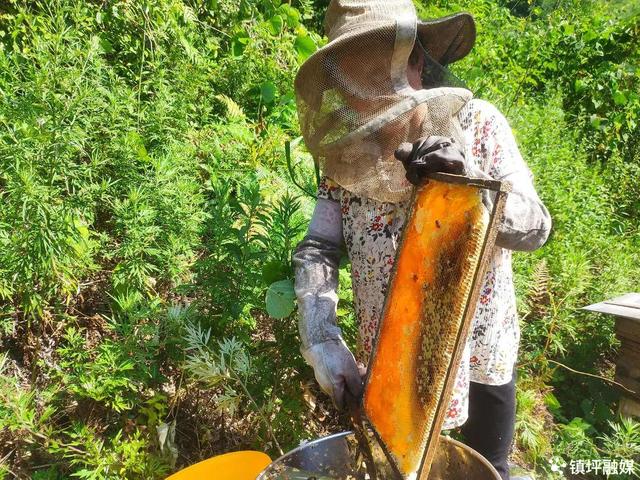 卖蜂蜜的广告语朋友圈要怎么发_,卖蜂蜜的广告语朋友圈要怎么发_有什么说法