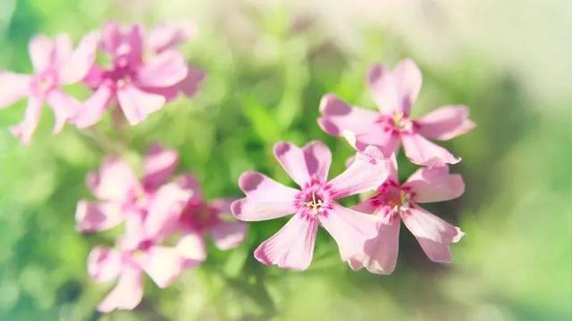 宝妈努力挣钱的句子霸气简短的图片,宝妈努力挣钱的句子霸气简短的话