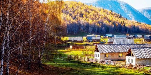 团队管理能力包括哪些,团队管理能力包括哪些方面