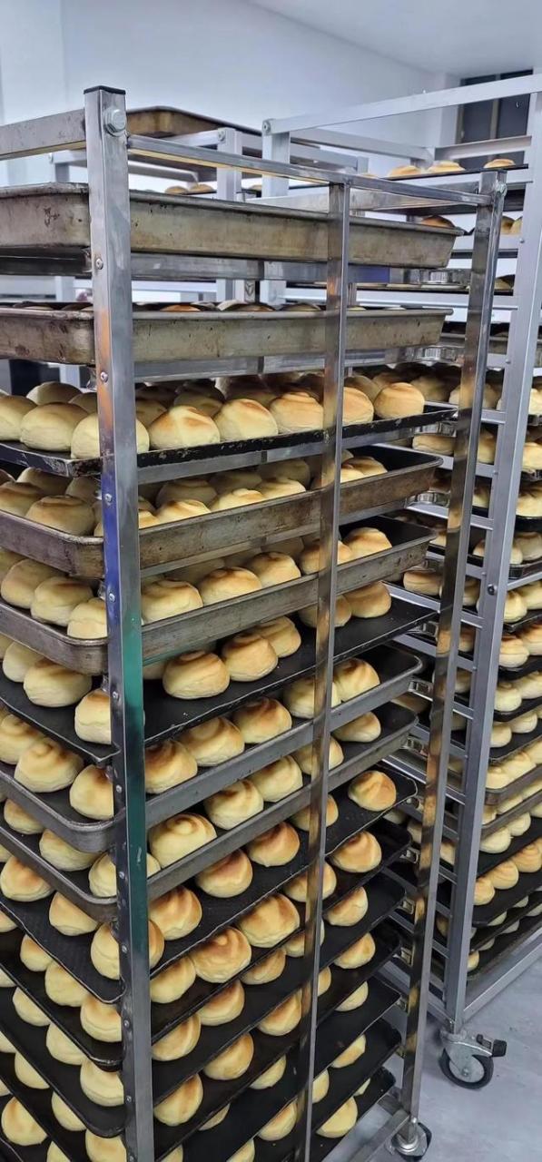 创业投资加盟网站,创业投资加盟网站有哪些