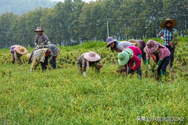 自媒体是什么时候出来的工作,自媒体是什么时候出来的工作岗位