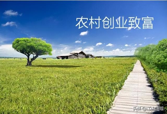 个人创业案例范文大全,个人创业案例范文大全简短