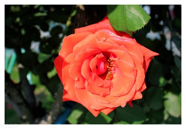 北京嘉代任家忠，任家忠嘉代相片