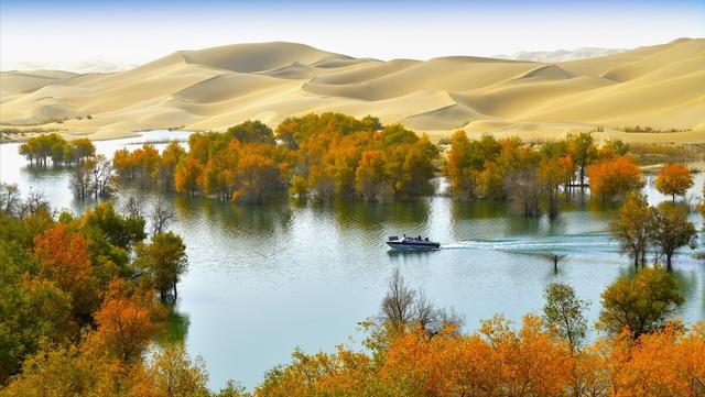 北京大哥任加代的照片,任加代北京大哥图片