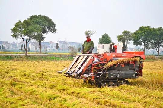 农村创业的好项目养殖业,农村创业的好项目养殖业概述