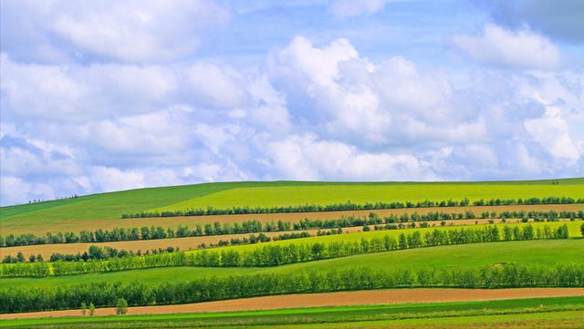 任加代北京大哥媳妇,北京任加代背后的大哥是谁