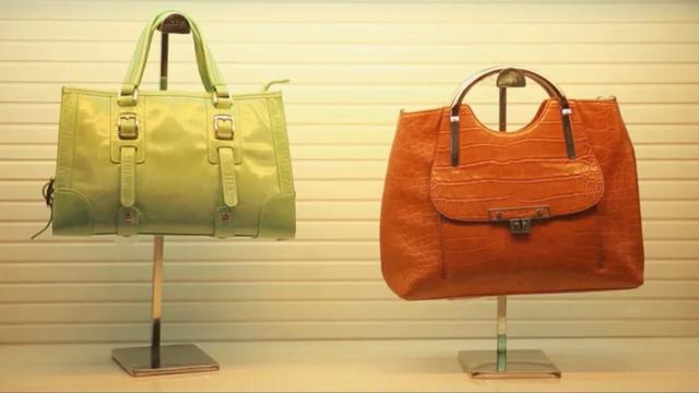 美美的幸福生活日记,被领养的美美的幸福生活