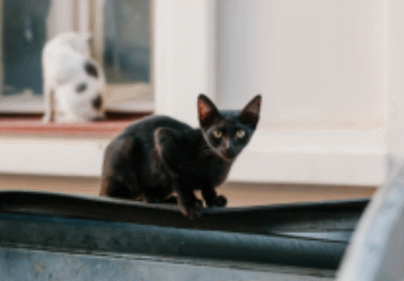 图片清晰度不够怎么提高清晰度手机壁纸,手机如何提高图片清晰度