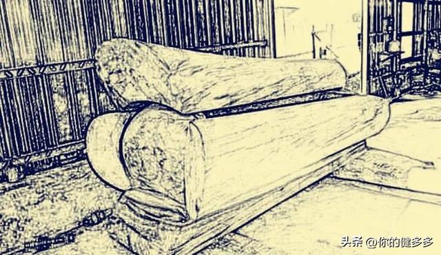 乌龟放生对家庭有什么好处，家养乌龟放生对家庭有什么好处