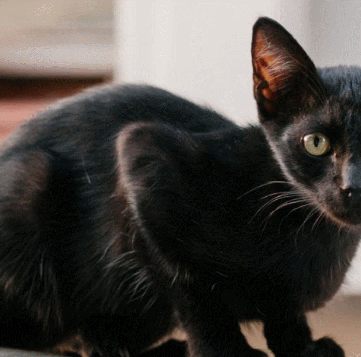 图片清晰度不够怎么提高清晰度手机壁纸,手机如何提高图片清晰度