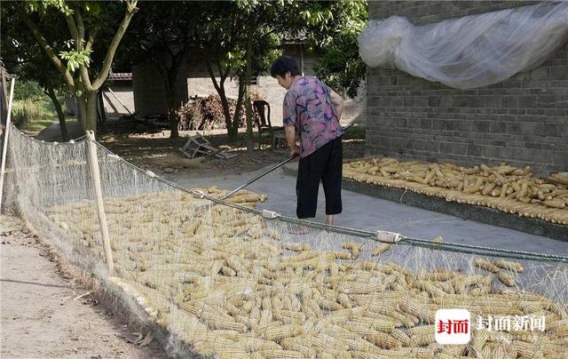 长江黄河共同流经的省区是图,长江黄河共同流经的省区有