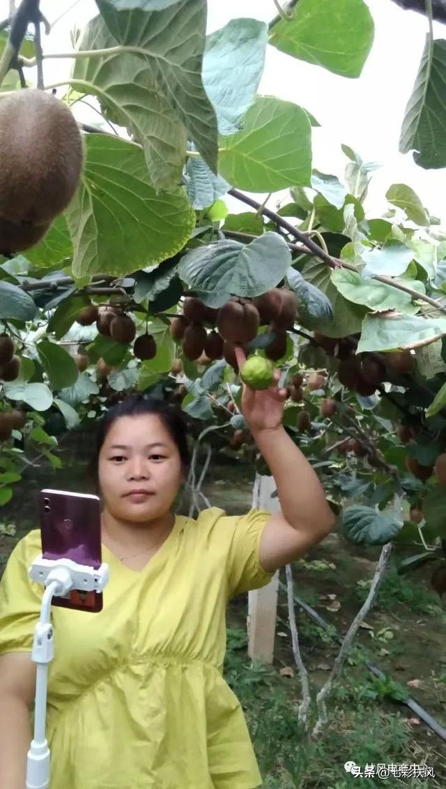 适合宝妈做小生意的工作,适合宝妈做小生意的工作有哪些