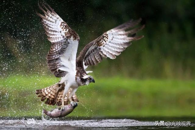 图片清晰度不够怎么提高清晰度手机,图片清晰度不够怎么提高清晰度手机软件