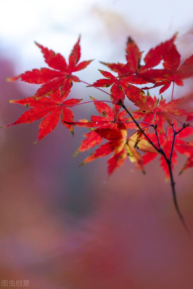 一堂好课的基本标准有哪些简答题,一堂好课的基本标准有哪些简答题及答案