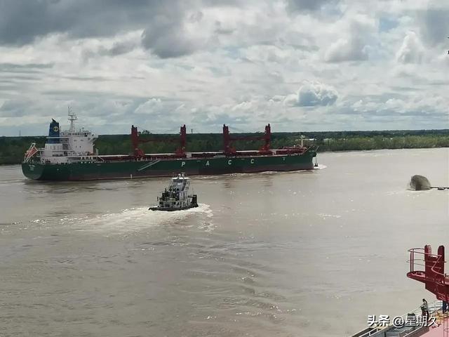 海员工资表2021年8月,船员工资2021年8月