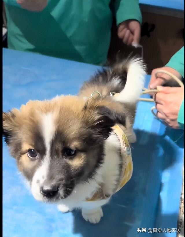 自驾游自媒体是如何赚钱的呢,自驾游自媒体是如何赚钱的呢知乎