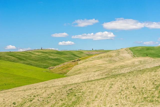 男生故意开黄腔试探你怎么高情商回怼，男生故意开黄腔试探你怎么回复