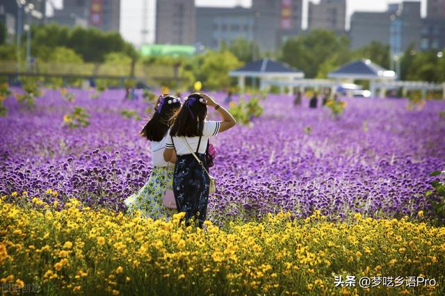 中国哪个省的人最善良,中国哪个省的人最善良