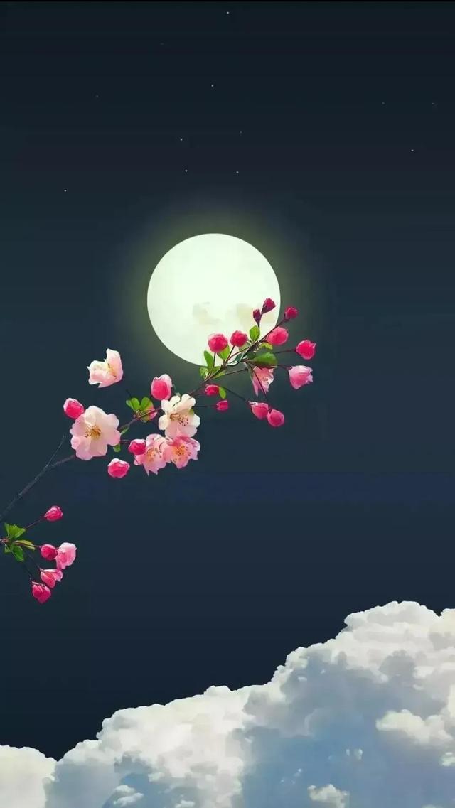 主要社会关系的关系一栏填什么,主要社会关系这么填