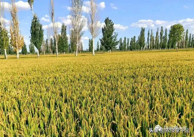 保留农村户口有意义吗没房没地,保留农村户口有意义吗没房没地怎么办