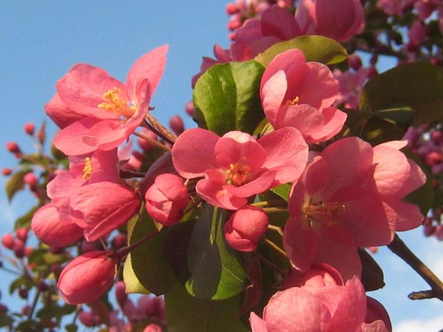 古代位分顺序表,古代位分排序