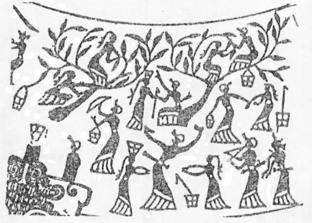 丝绸的主要成分是纤维素吗，丝绸的主要成分是纤维素吗是属于天然高分子化合物吗