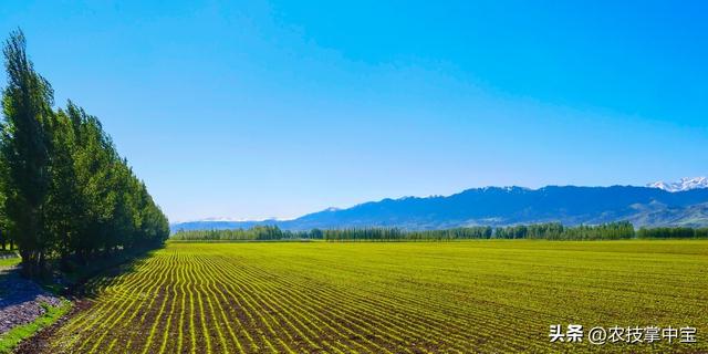 保留农村户口有意义吗没房没地,保留农村户口有意义吗没房没地怎么办