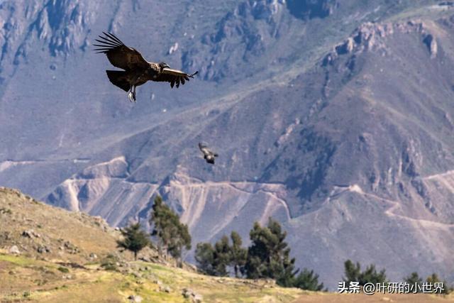 021年十大畅销书排行榜,2021年十大畅销书排行榜图片"