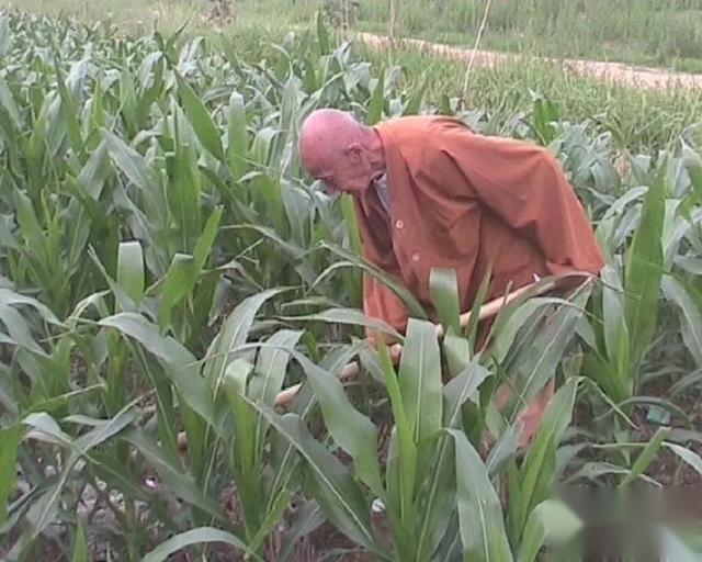 念佛发生奇迹,常念的佛号