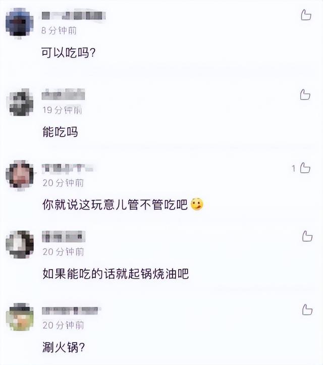 太阳鱼是海鱼还是淡水鱼可以吃的，太阳鱼是海鱼还是淡水鱼可以吃的嘛